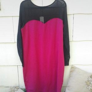 Forever 21 Deep Pink and Mesh Bodycon Dress